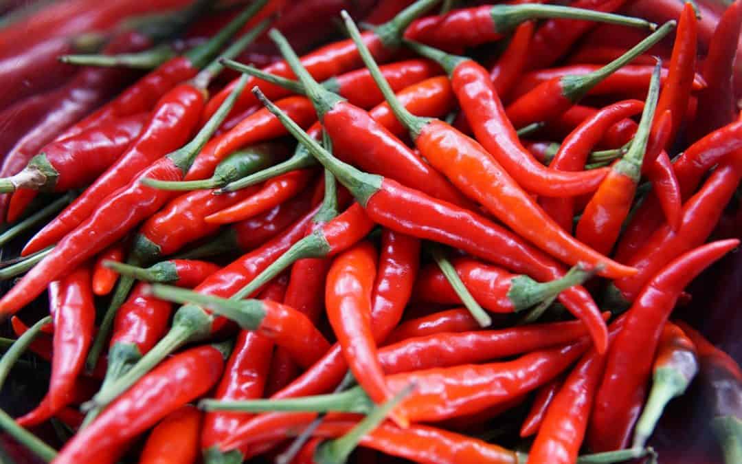 Bruk tørket chili i din restaurant: En guide for kokker